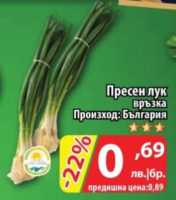 Пресен лук връзка
