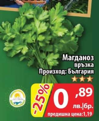 Магданоз връзка