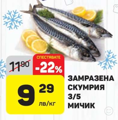 ЗАМРАЗЕНА СКУМРИЯ 3/5 МИЧИК