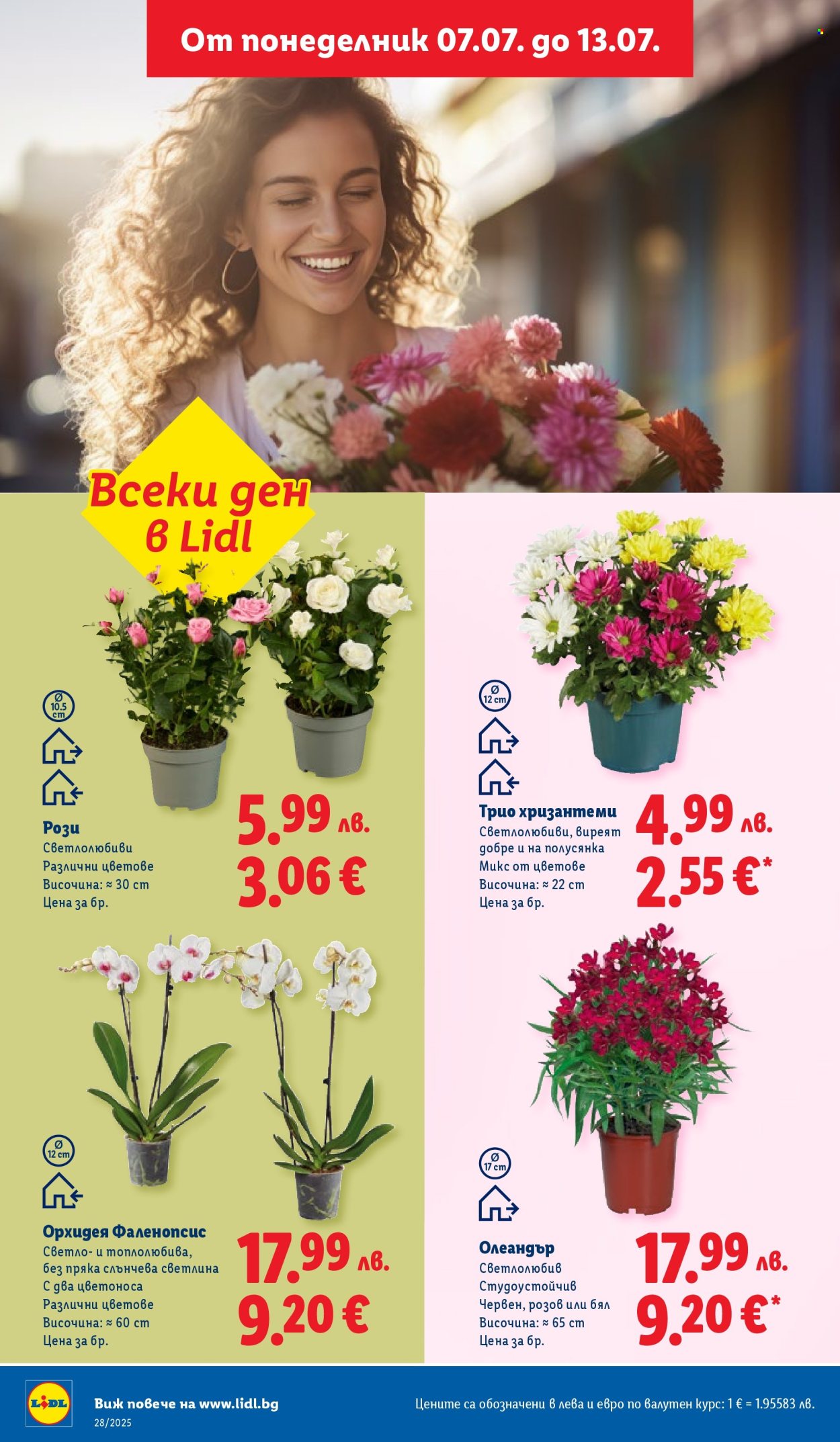 Брошура на Лидл - 07.07.2025 - 13.07.2025. Страница 48