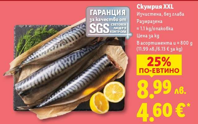 Скумрия XXL