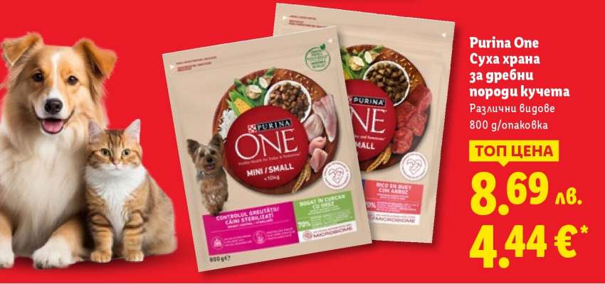 PURINA ONE