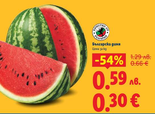 Българска диня