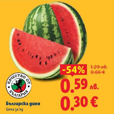 Българска диня