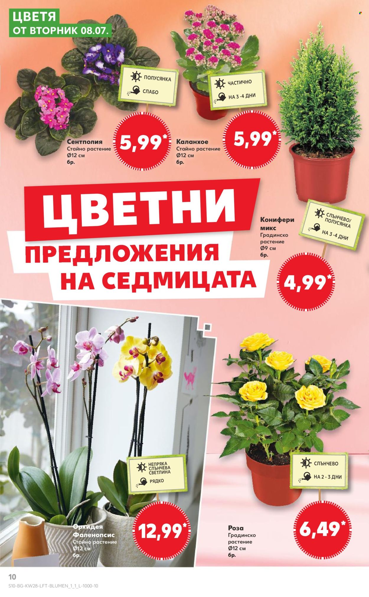 Брошура на Кауфланд - 07.07.2025 - 13.07.2025. Страница 10