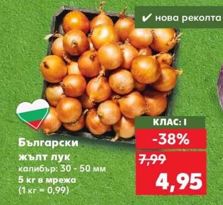 Български жълт лук