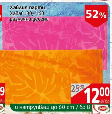 Хавлия парти