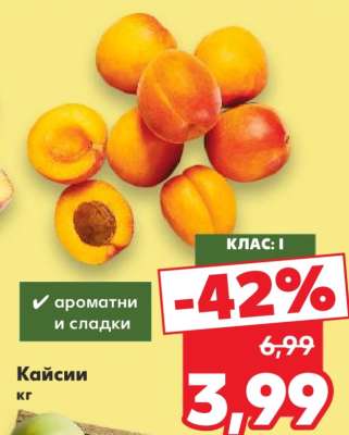Кайсии