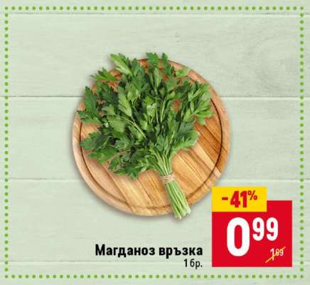 Магданоз връзка