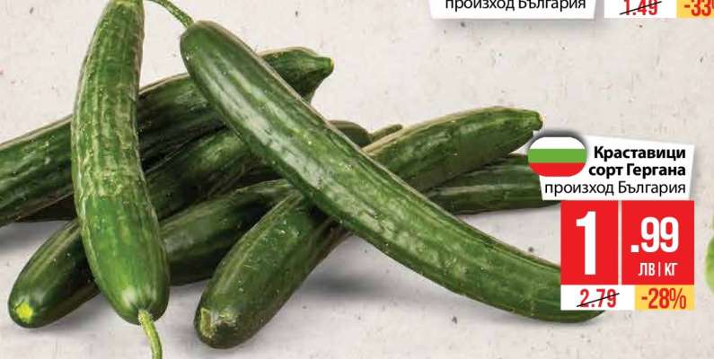 Краставици сорт Гергана
