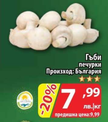 Гъби печурки