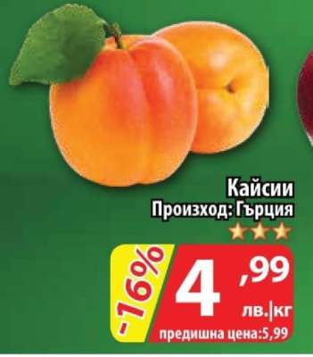 Кайсии