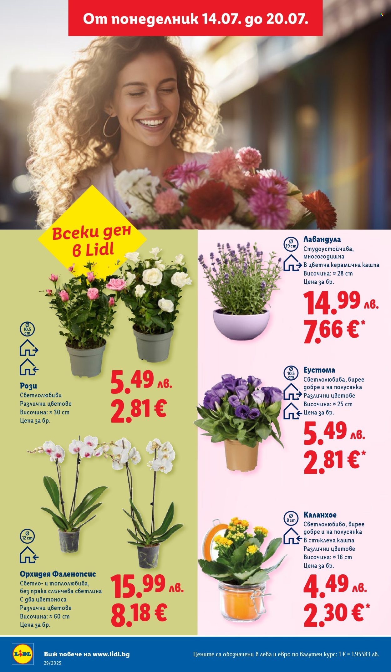 Брошура на Лидл - 14.07.2025 - 20.07.2025. Страница 40