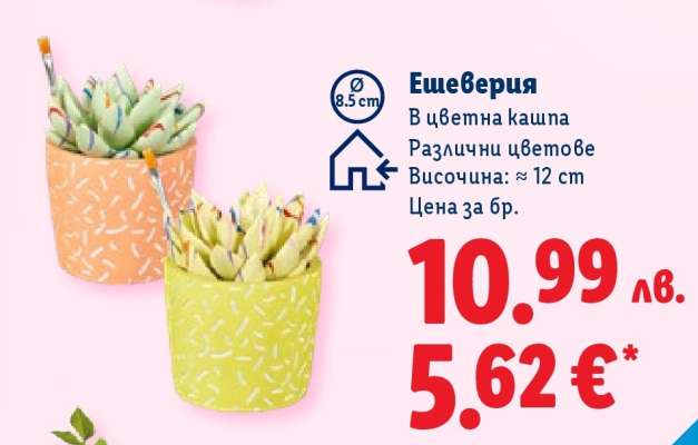 Ешеверия