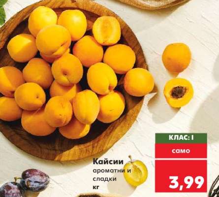 Кайсии