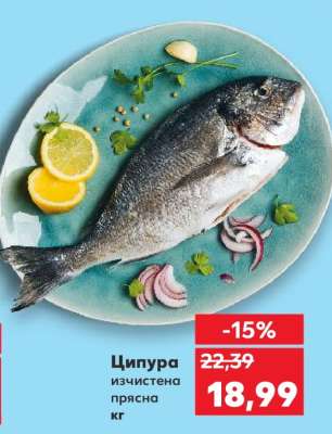 Ципура