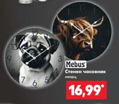 Mebus