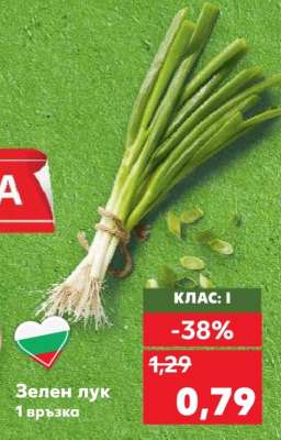 Зелен лук