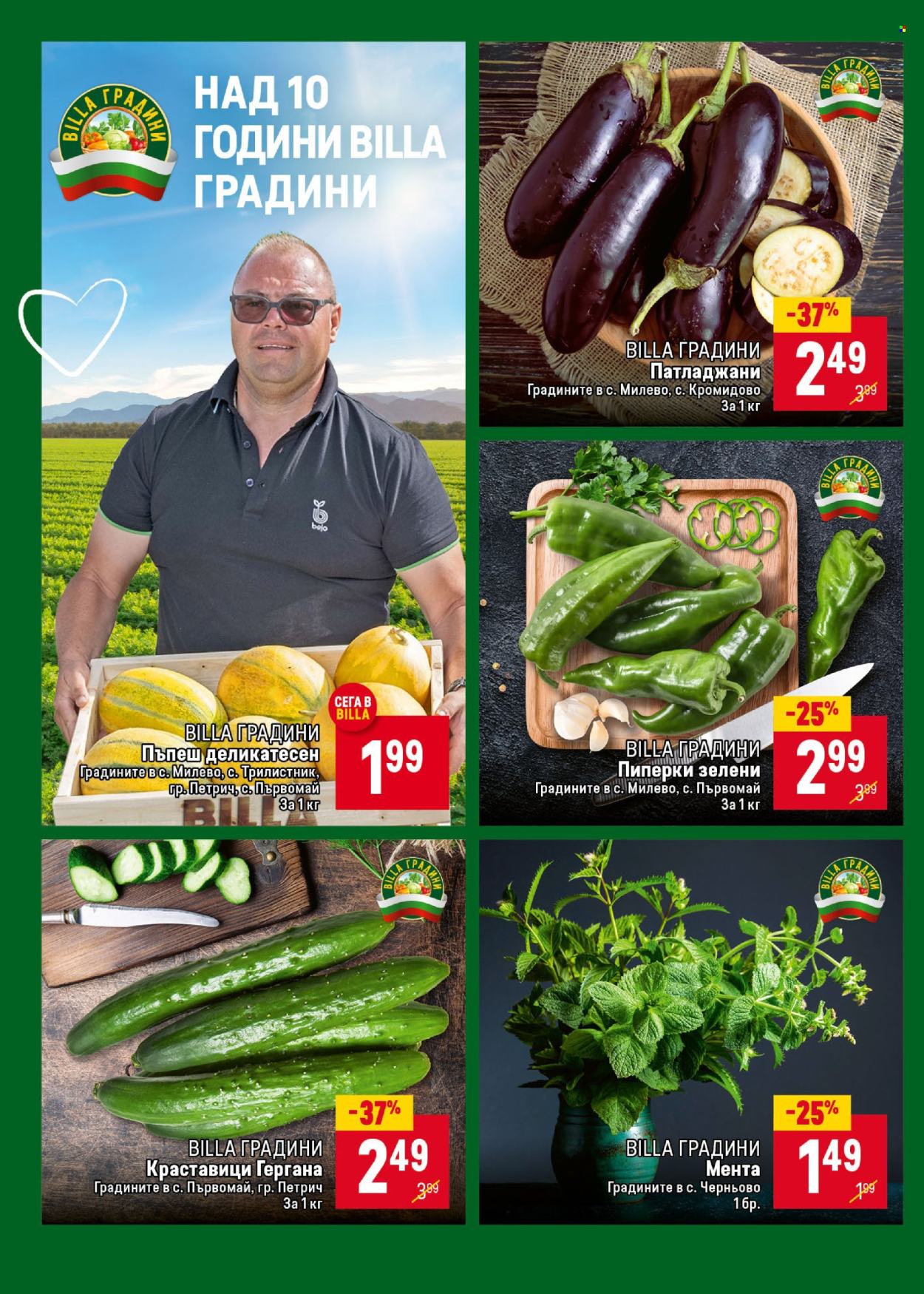 Брошура на BILLA - 17.07.2025 - 23.07.2025. Страница 6