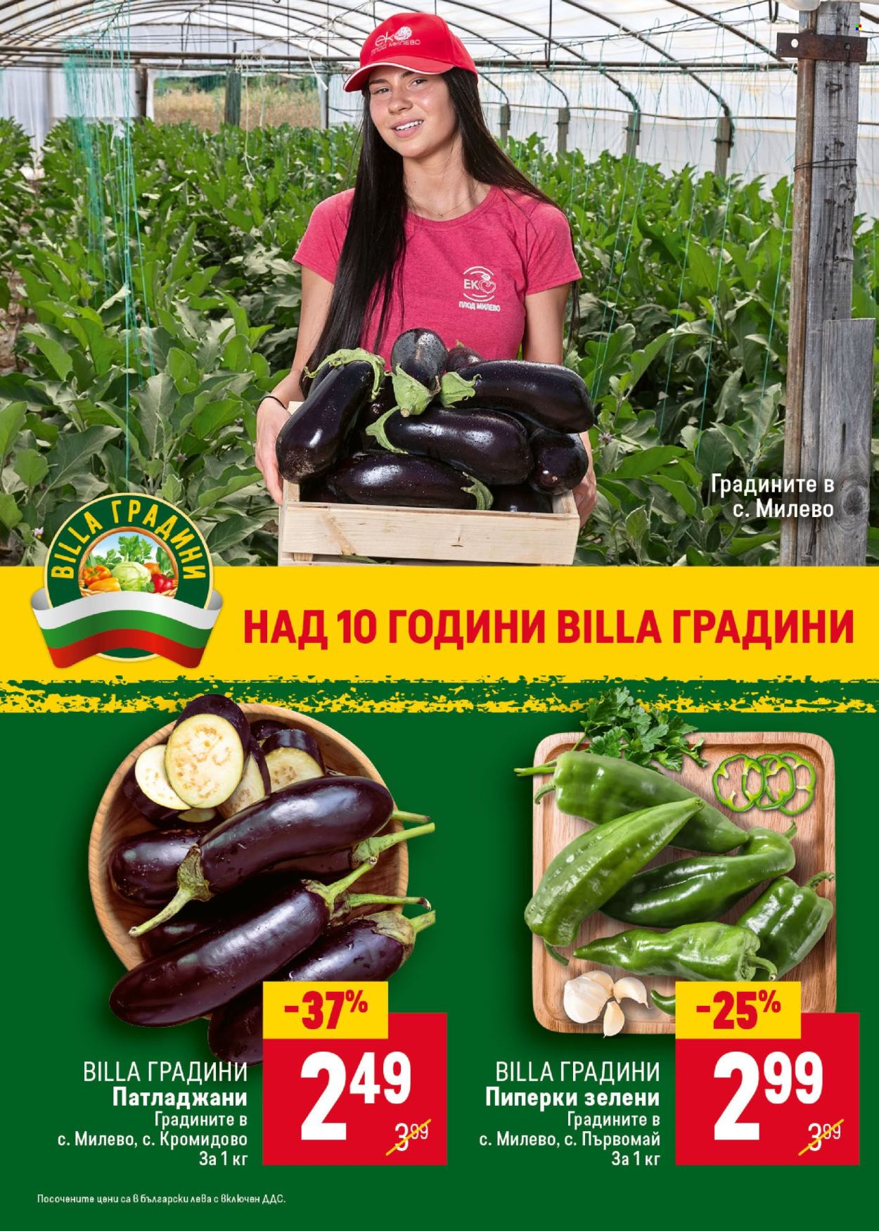 Брошура на BILLA - 17.07.2025 - 23.07.2025. Страница 8