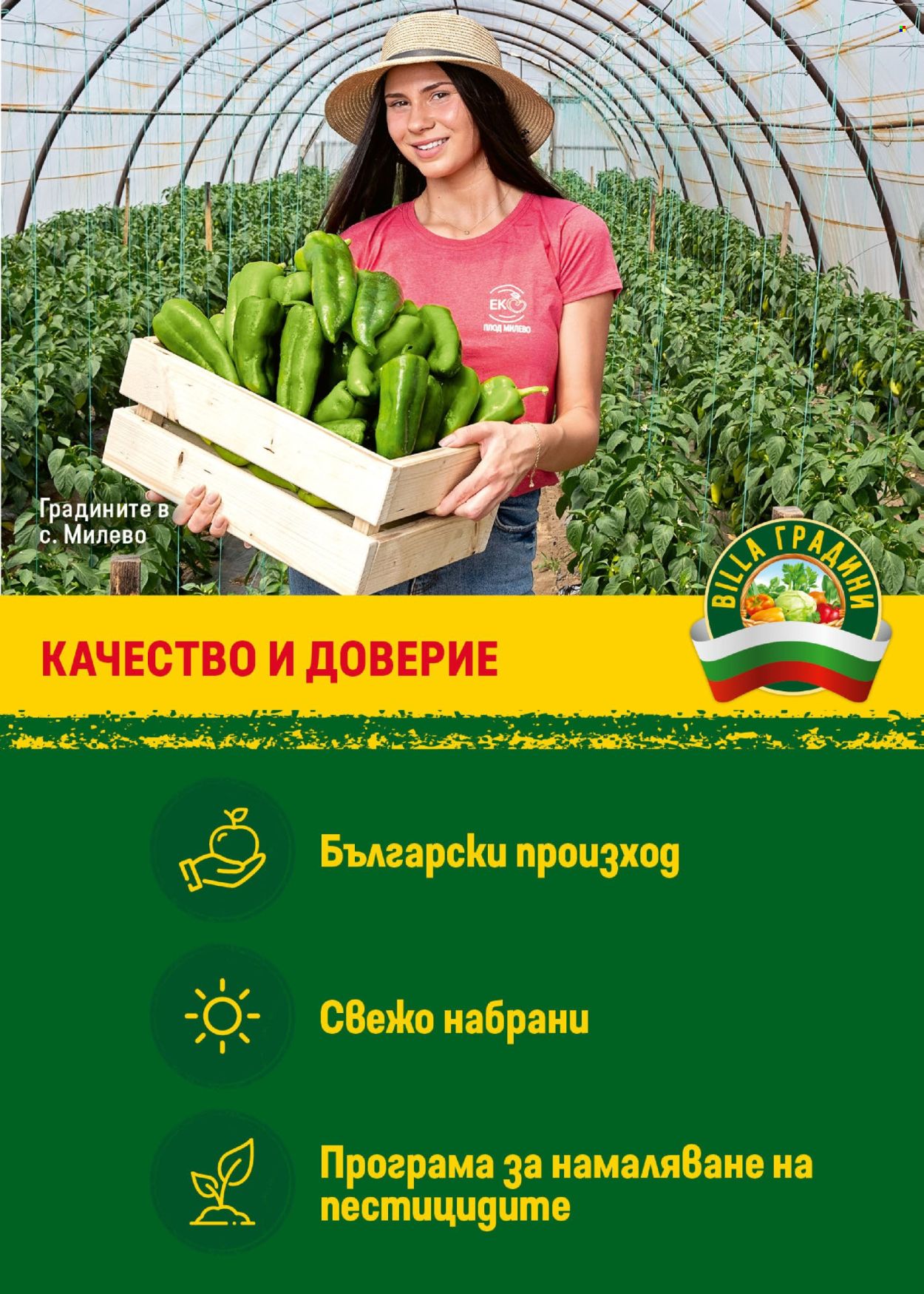 Брошура на BILLA - 17.07.2025 - 23.07.2025. Страница 9