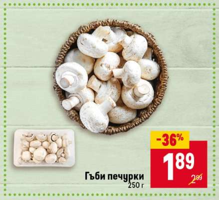Гъби печурки