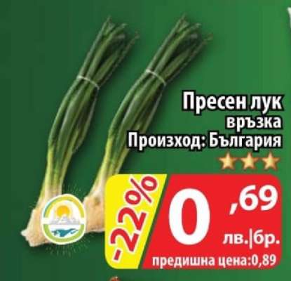 Пресен лук връзка