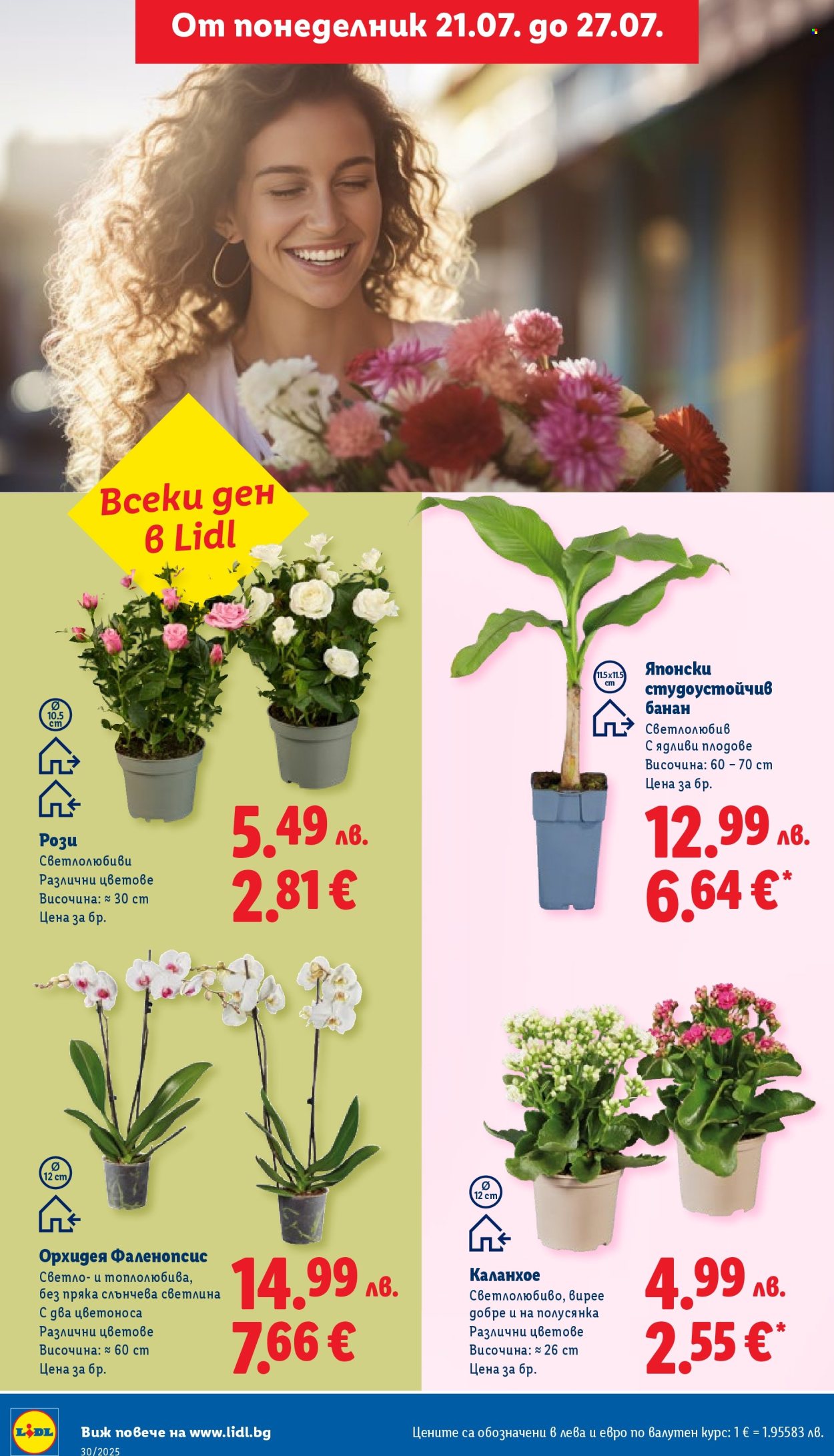 Брошура на Лидл - 21.07.2025 - 27.07.2025. Страница 48
