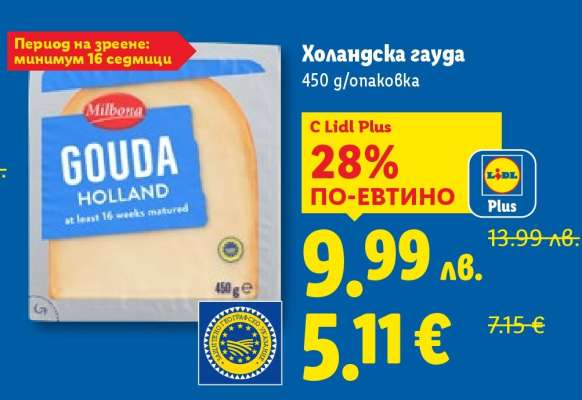 Холандска гауда