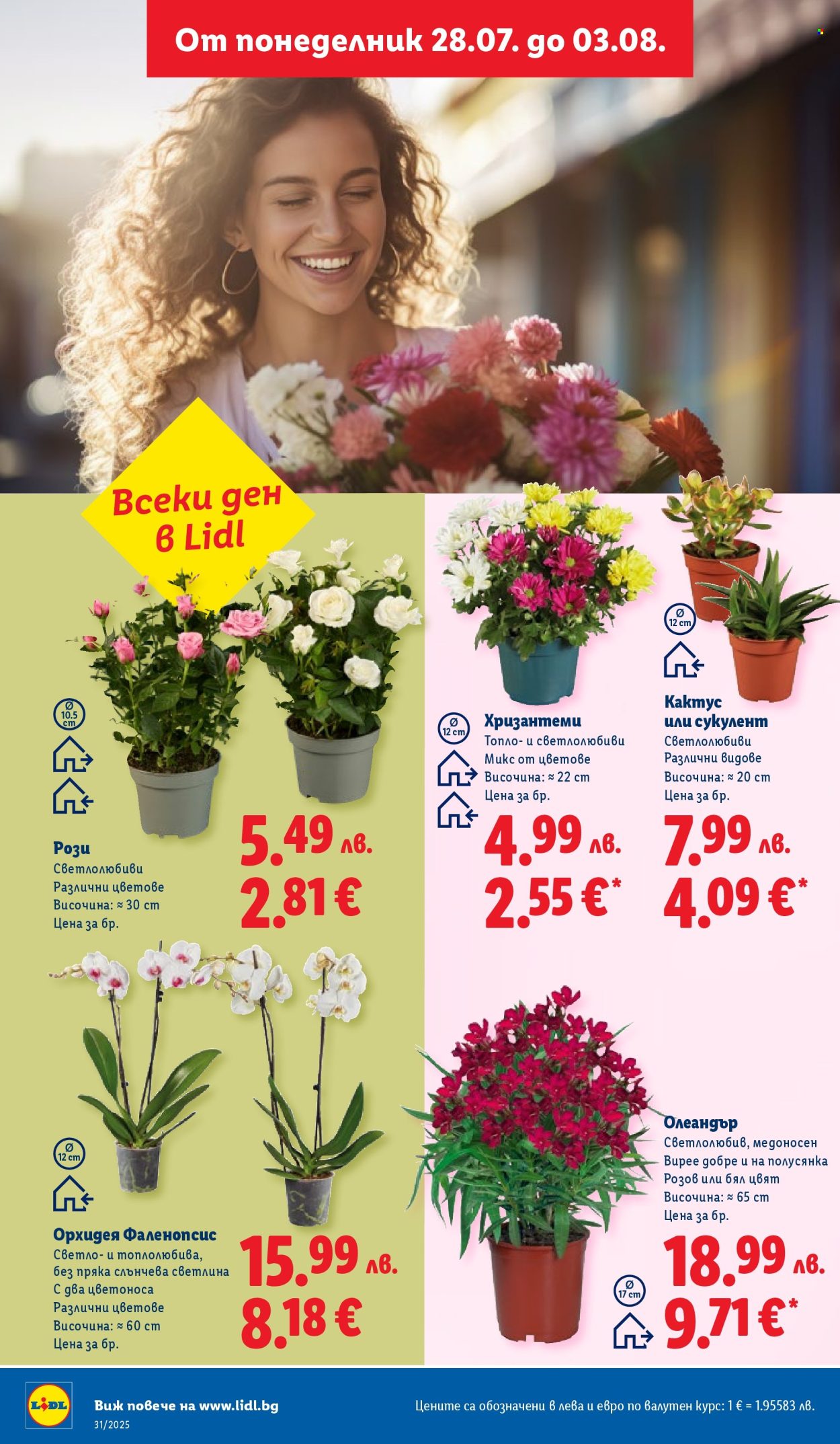 Брошура на Лидл - 28.07.2025 - 03.08.2025. Страница 46
