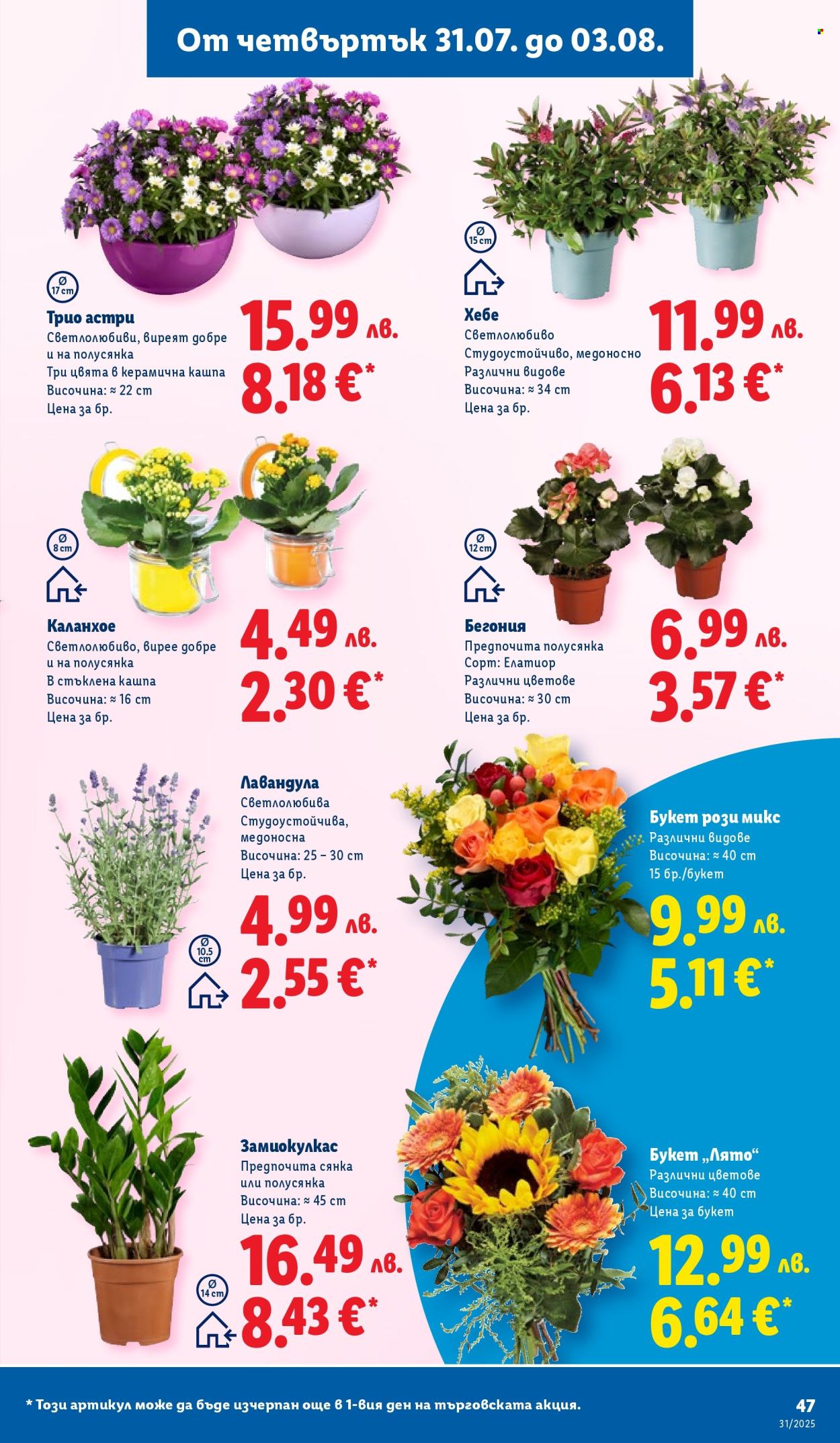 Брошура на Лидл - 28.07.2025 - 03.08.2025. Страница 47