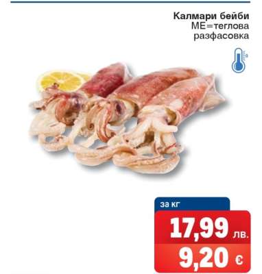 Калмари бейби