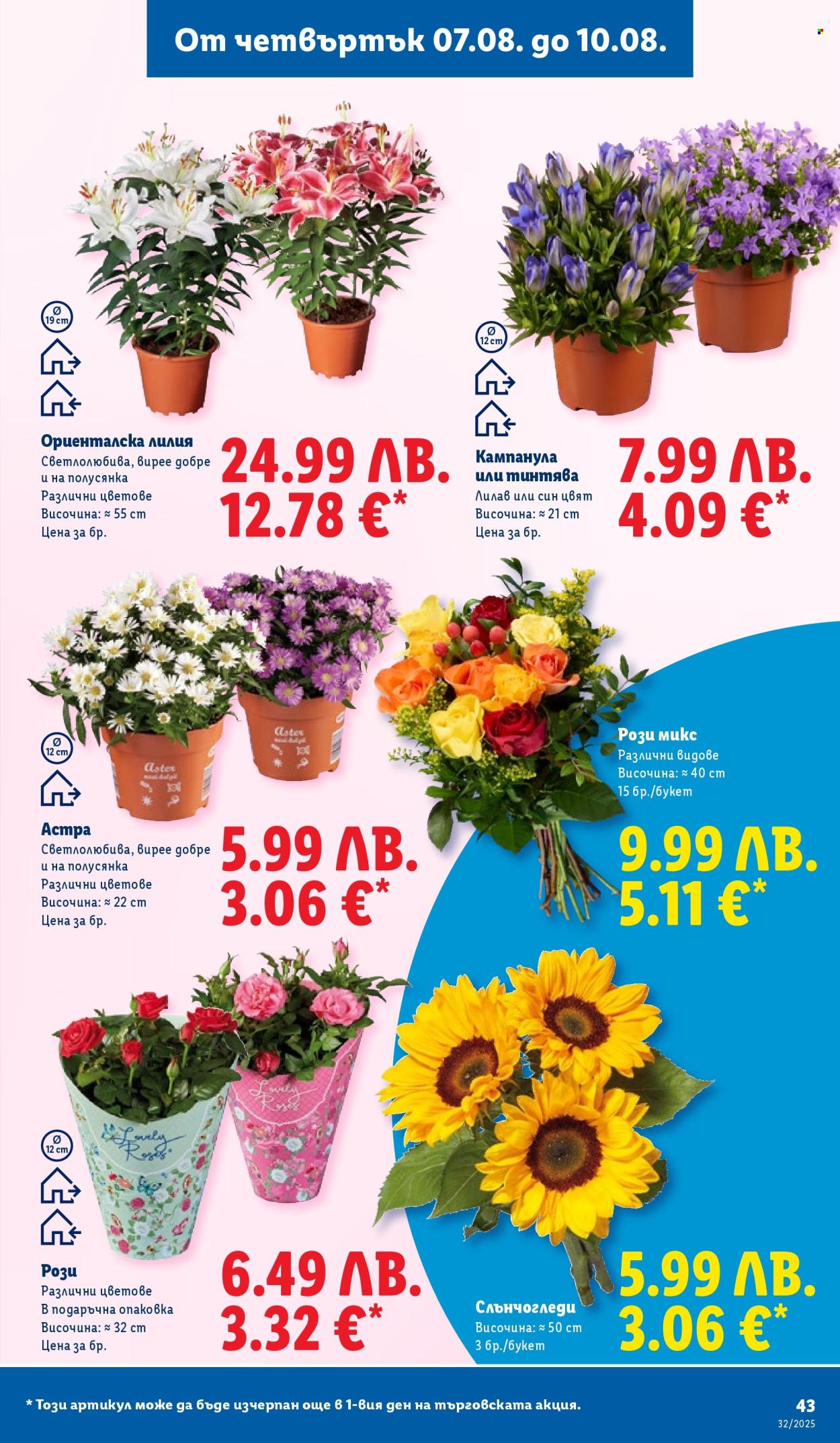 Брошура на Лидл - 04.08.2025 - 10.08.2025. Страница 43