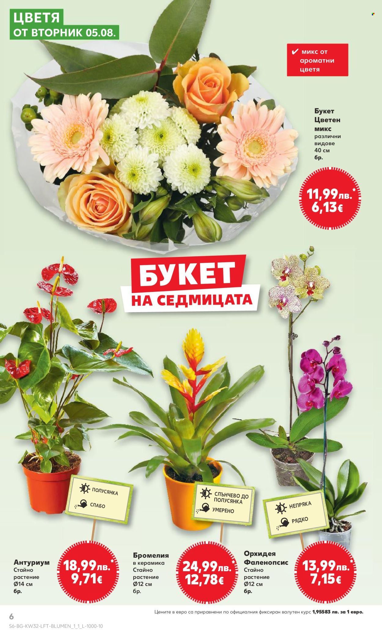 Брошура на Кауфланд - 04.08.2025 - 10.08.2025. Страница 6