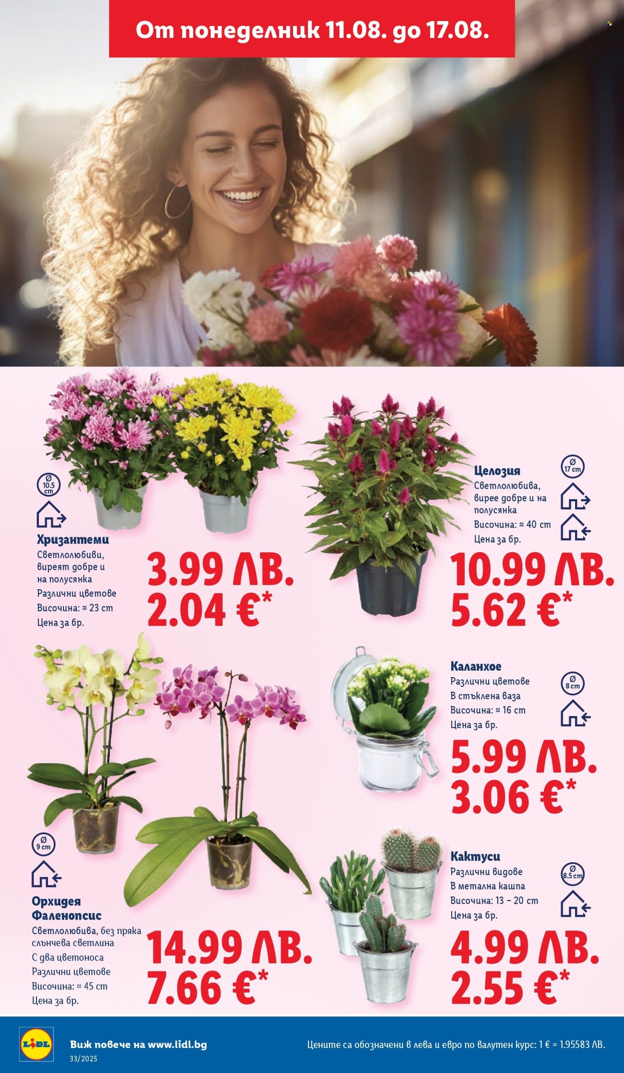 Брошура на Лидл - 11.08.2025 - 17.08.2025. Страница 46