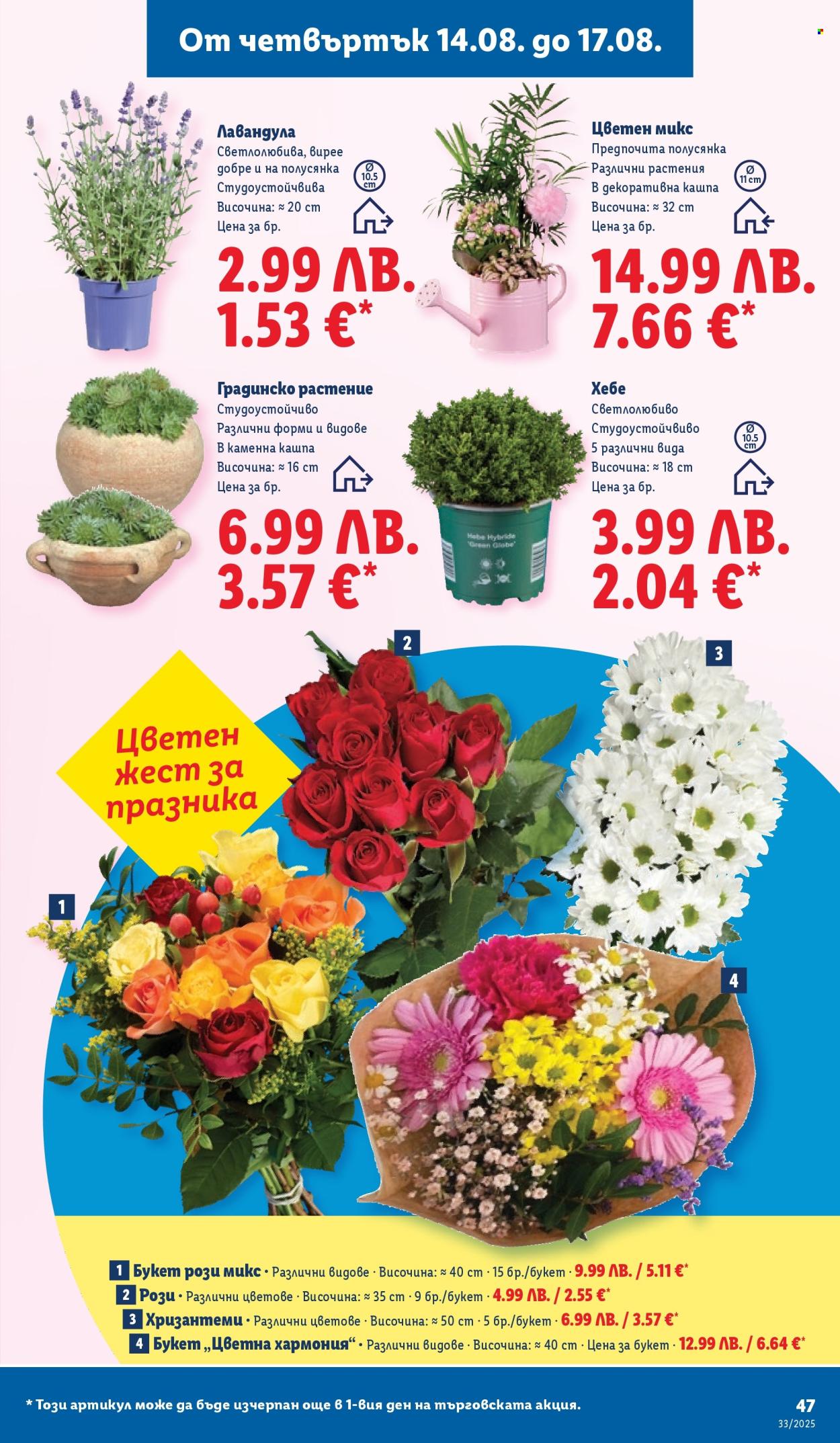Брошура на Лидл - 11.08.2025 - 17.08.2025. Страница 47