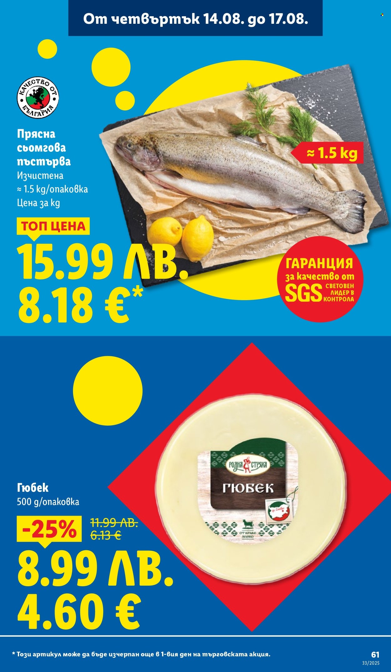 Брошура на Лидл - 11.08.2025 - 17.08.2025. Страница 61