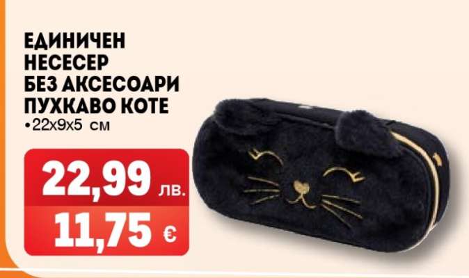 Единичен несесер