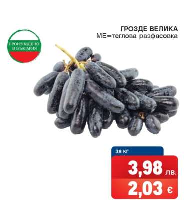 ГРОЗДЕ ВЕЛИКА
