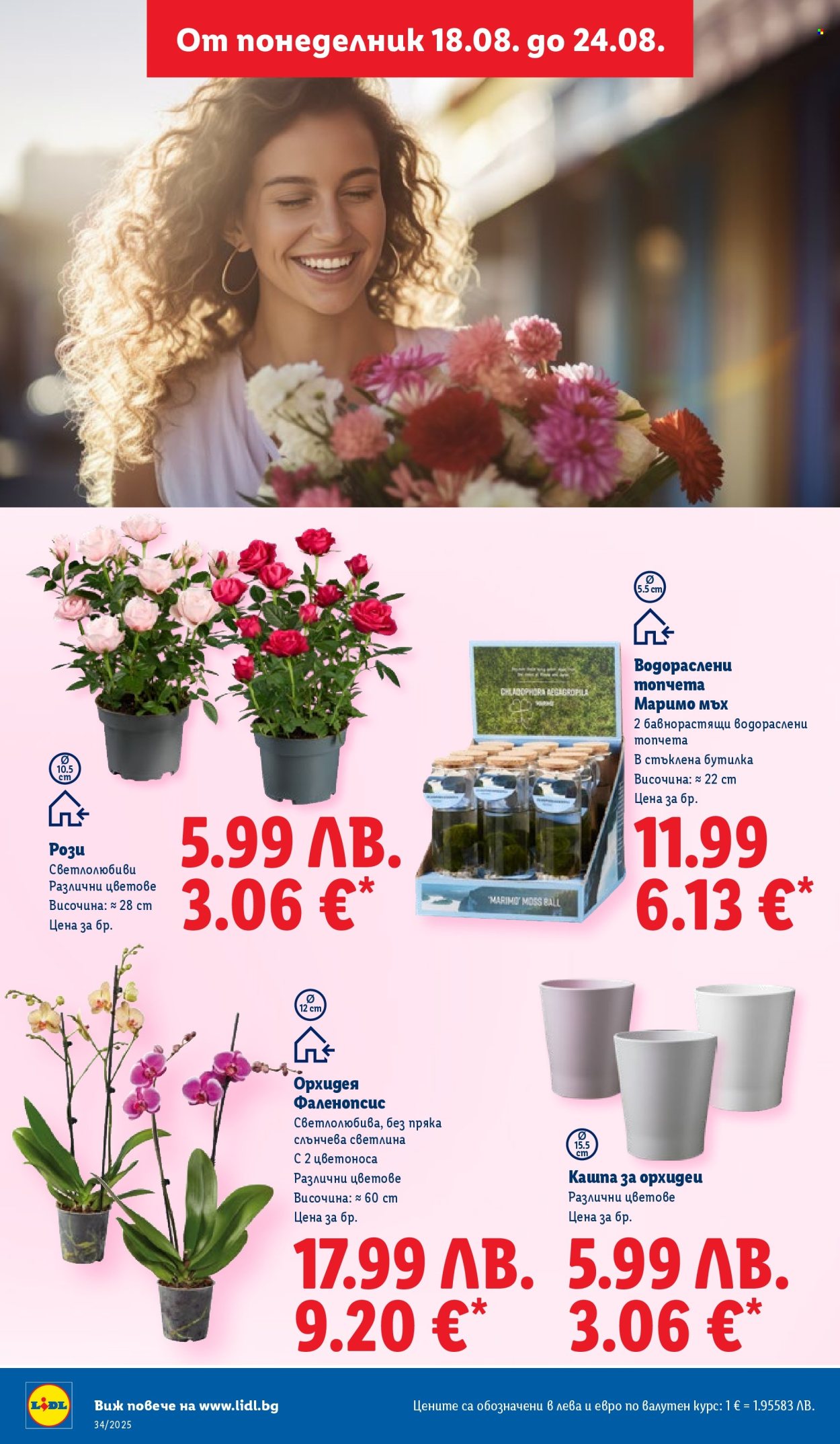 Брошура на Лидл - 18.08.2025 - 24.08.2025. Страница 60