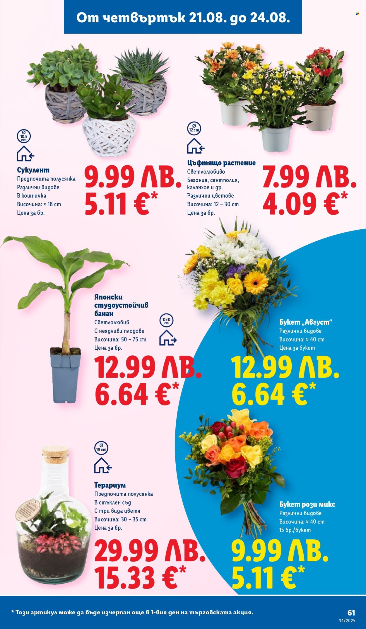 Брошура на Лидл - 18.08.2025 - 24.08.2025. Страница 61