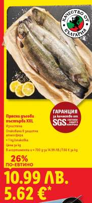 Прясна дъгова пъстърва XXL