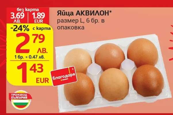 Яйца АКВИЛОН