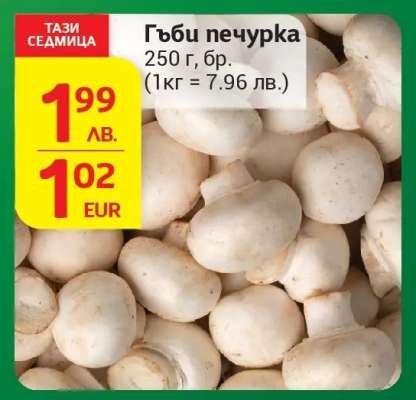 Гъби печурка