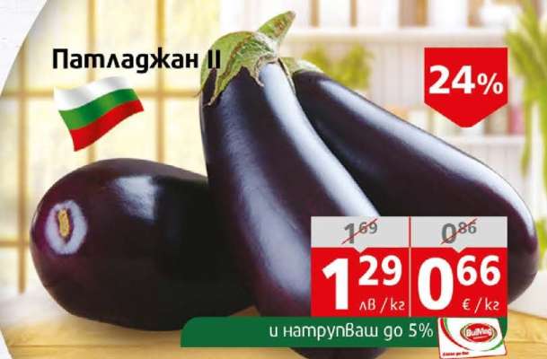Патладжан II