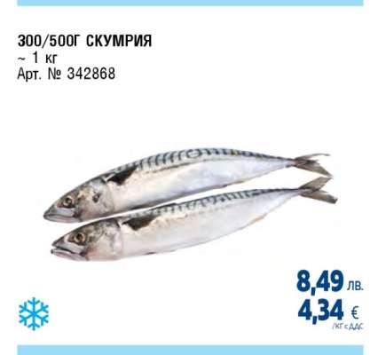 Скумрия