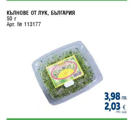 Кълнове от лук, България