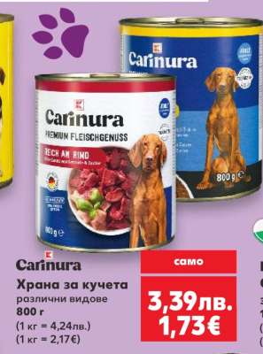 Carinura