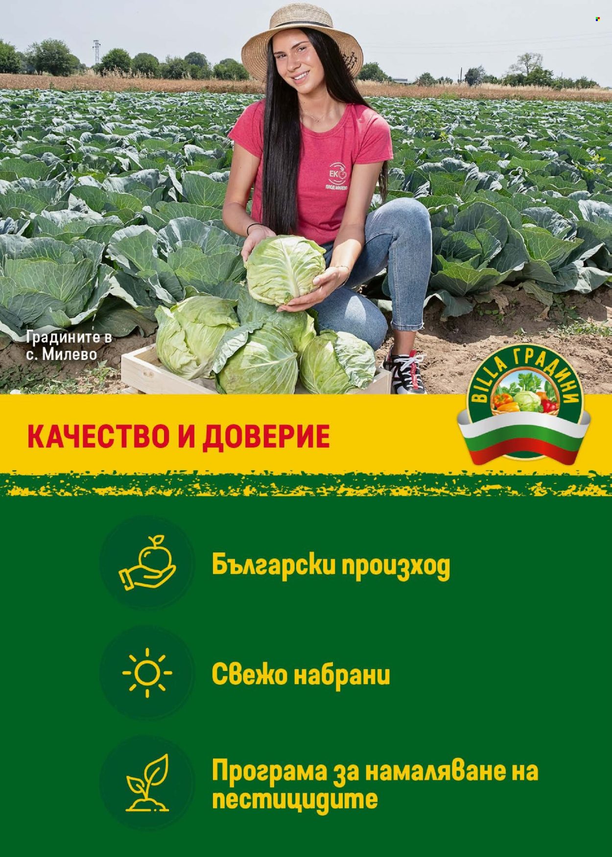 Брошура на BILLA - 21.08.2025 - 27.08.2025. Страница 11