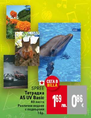 SPREE Тетрадка A5 UV Basic